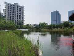 -西海子公园