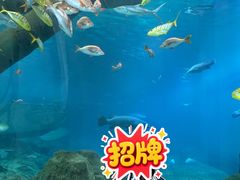 -福州罗源湾海洋世界旅游区