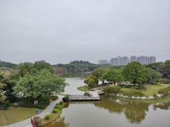 -东莞植物园
