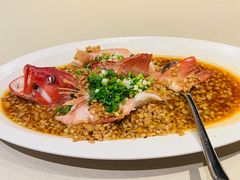 泡椒蒸深海红东星斑-皇朝会.经典传统粤菜(外滩店)