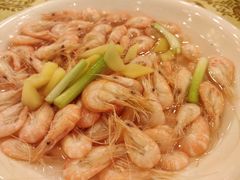 -中国饭店-餐厅