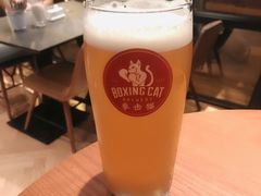 -Boxing Cat Brewery拳击猫精酿啤酒馆(永福店)