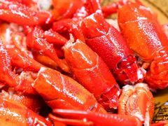 -古田会·肥肠鸡(古田店)