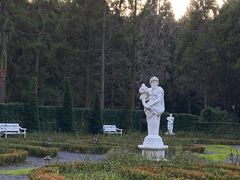 -东平国家森林公园