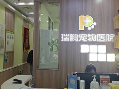 -瑞鹏宠物医院·宠保定点·心脏科·内科(御桥分院)