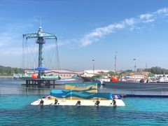 -秦皇岛乐岛海洋王国