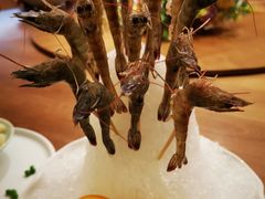 -尚海豆捞(乐虹坊店)