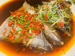 -渔歌子鱼头王(郑州总店)