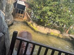 -宁波野生动物园