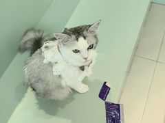 -怪兽屋·羊驼·猫咖·狗咖(俊华广场店)