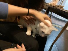 -Doors独立剧情密室(东门分店)