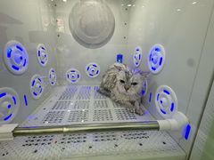 -爱洗澡的猫(望京店)