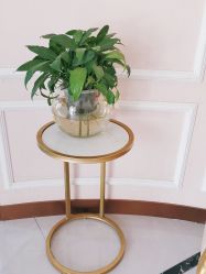 -同芙舍予专业健康美容