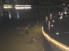 -龙熙维景国际会议中心