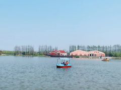 -上海长兴岛郊野公园