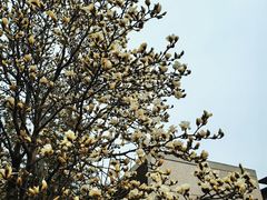 -春晖园度假酒店温泉