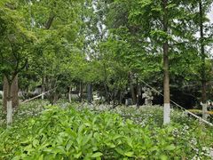 -南通濠河风景名胜区