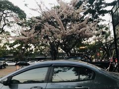 -宁曼路