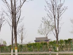 -西海子公园