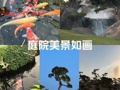 -罗红摄影艺术馆