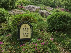 -镇江博物馆