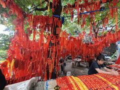 -泰山风景名胜区