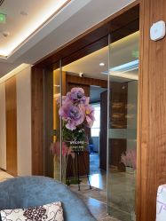 -杭州米兰柏羽医疗美容医院