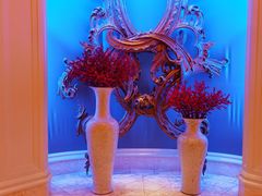 -拉斯维加斯永利酒店