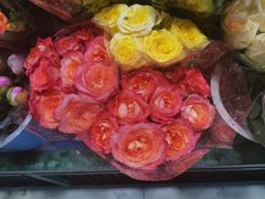 -三旗百汇商品城