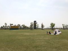 -春花秋色城市公园