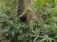 -海南热带野生动植物园