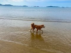 -长江澳风力发电景观区