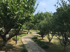 -白马涧龙池景区
