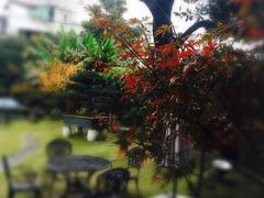 iphone_upload_pic-大可堂普洱茶馆(襄阳南路馆)