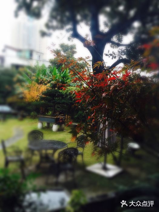 大可堂普洱茶馆(襄阳南路馆)iphone_upload_pic图片