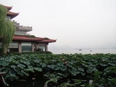 杭州湖畔居—外景-湖畔居茶楼(湖滨店)