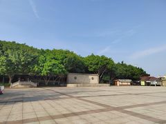 -青礁慈济宫