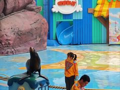 -海合安成都极地海洋公园