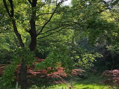 -幕燕滨江·长江观音景区