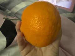 -童子鸡专卖店(中新街店)