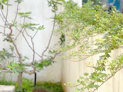 -PAUSE CAFE(南秀村店)