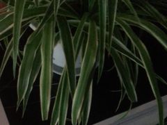 -壹点灵·心理咨询中心(中山公园店)