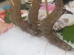 -红鼎豆捞·非遗鲍皇汤火锅(宝丰路店)