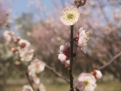 -蜀冈西峰生态公园