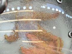 -船梆煮•蒸汽海鲜·生腌干蒸(五四广场店)