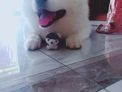 -乐宠宠物店(世纪金源店)