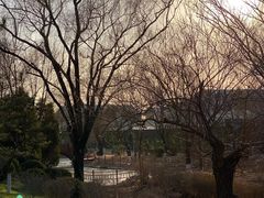 -燕郊植物园