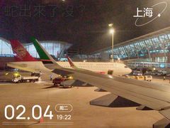 -上海浦东国际机场-T2航站楼