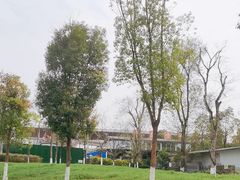 -巴蜀一绝烤全羊