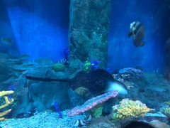 -华夏文旅西安度假区